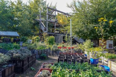 Urban Gardening im Herzen von Berlin