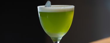 Damien mixes: Time for Sorrel!