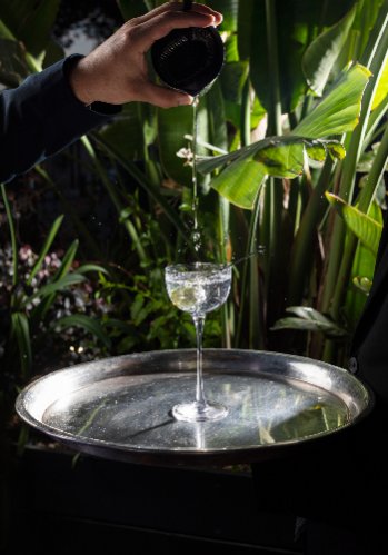 Seta Garden Bar 